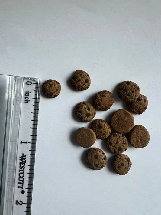 Miniature handmade chocolate chip cookies with a ruler for scale on a white background