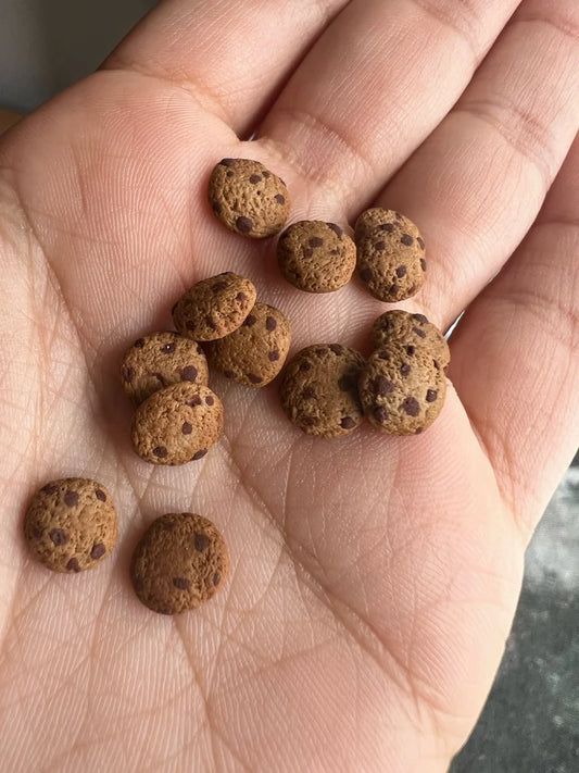 Hand holding a small pile of brown dog treats with visible texture.