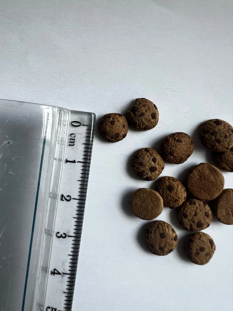 Miniature handmade chocolate chip cookies with a ruler for scale on a white background