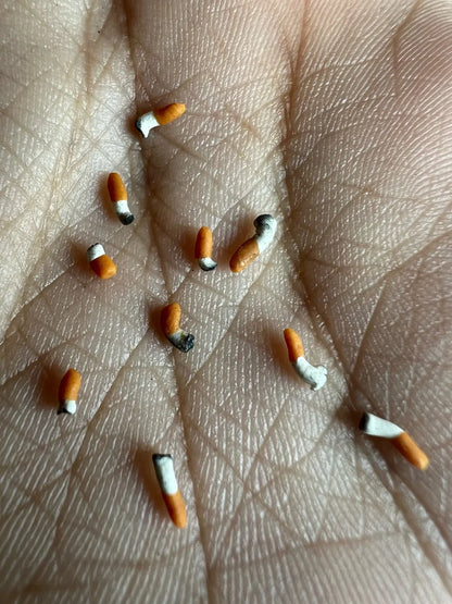 Small cigarette butts scattered on a person's palm