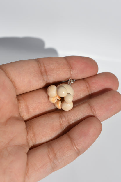 The freshly popped set