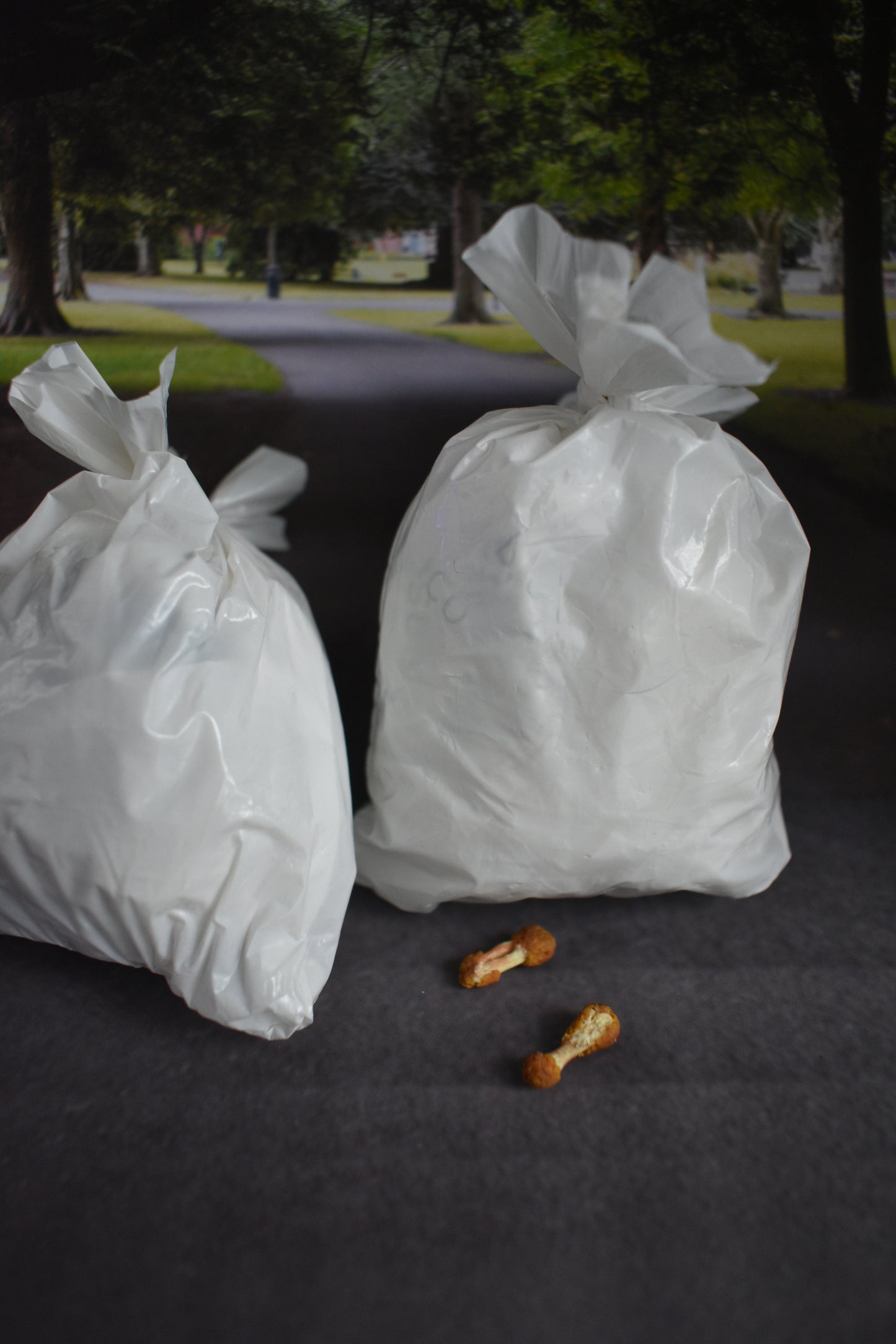 Two white plastic trash bags on a dark asphalt-like surface, blurred park background and two discarded chicken wings.