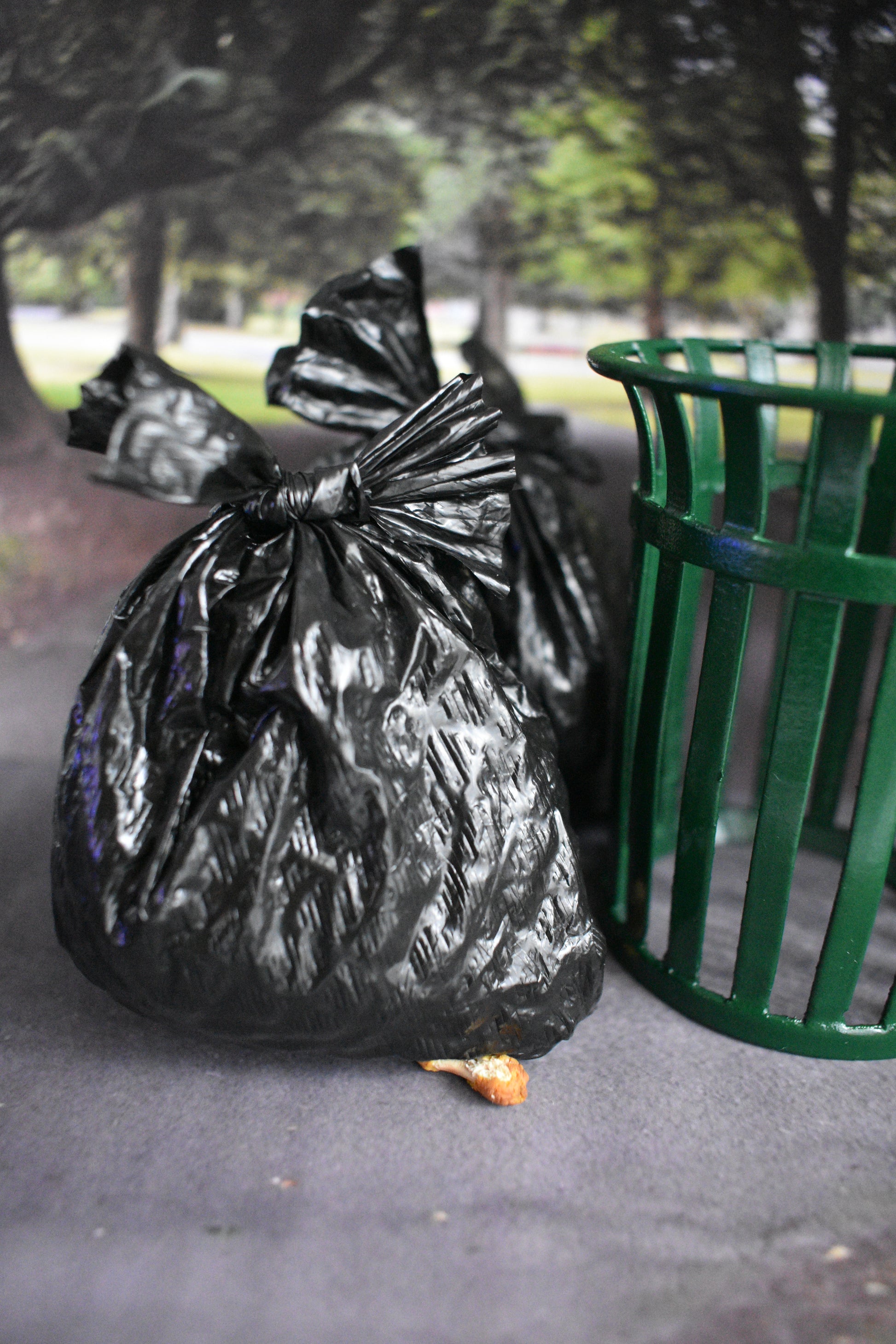 Black trash bags on a sidewalk next to a green trash can with trees in the background.