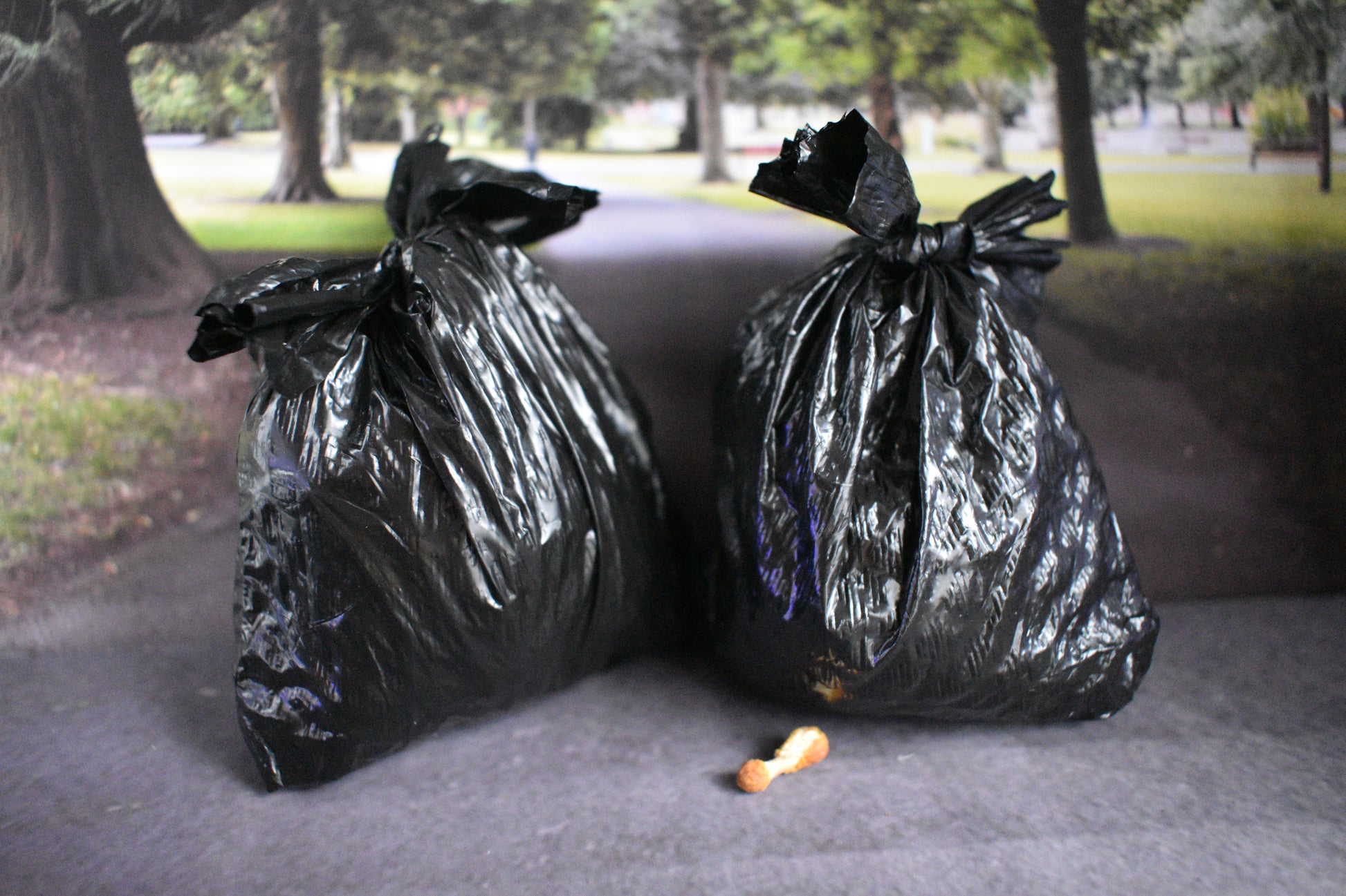 Two black trash bags on a concrete surface with trees and grass in the background.