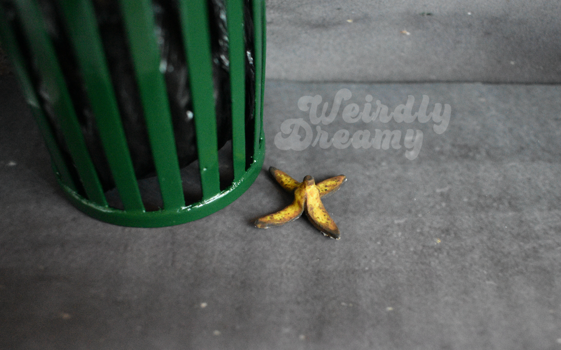 Green trash can next to a yellow banana peel on a gray surface with 'Weirdly Dreamy' branding.