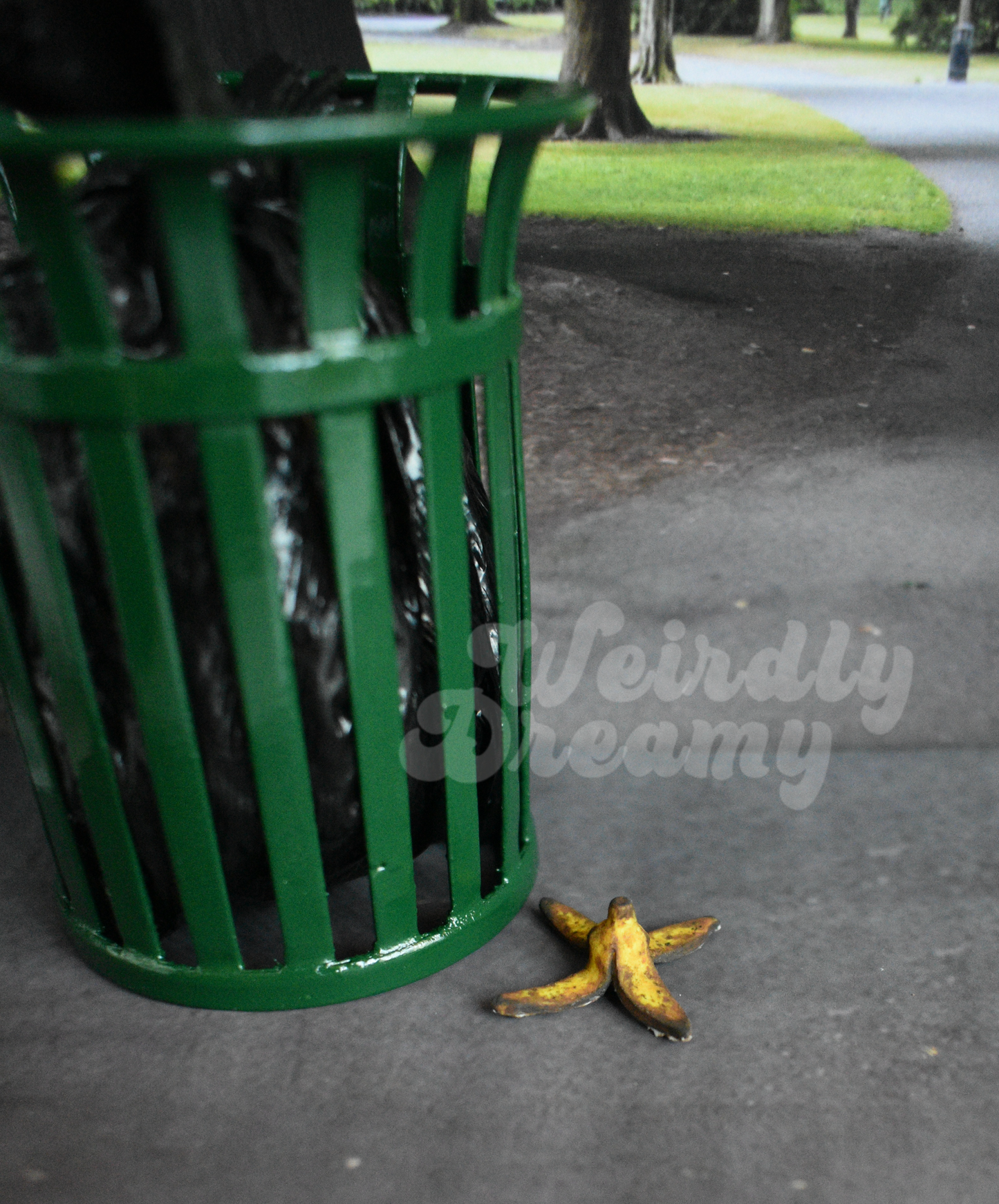Green trash can with a black bag on a sidewalk next to a miniature aged banana peel, with 'Weirdly Dreamy' branding.