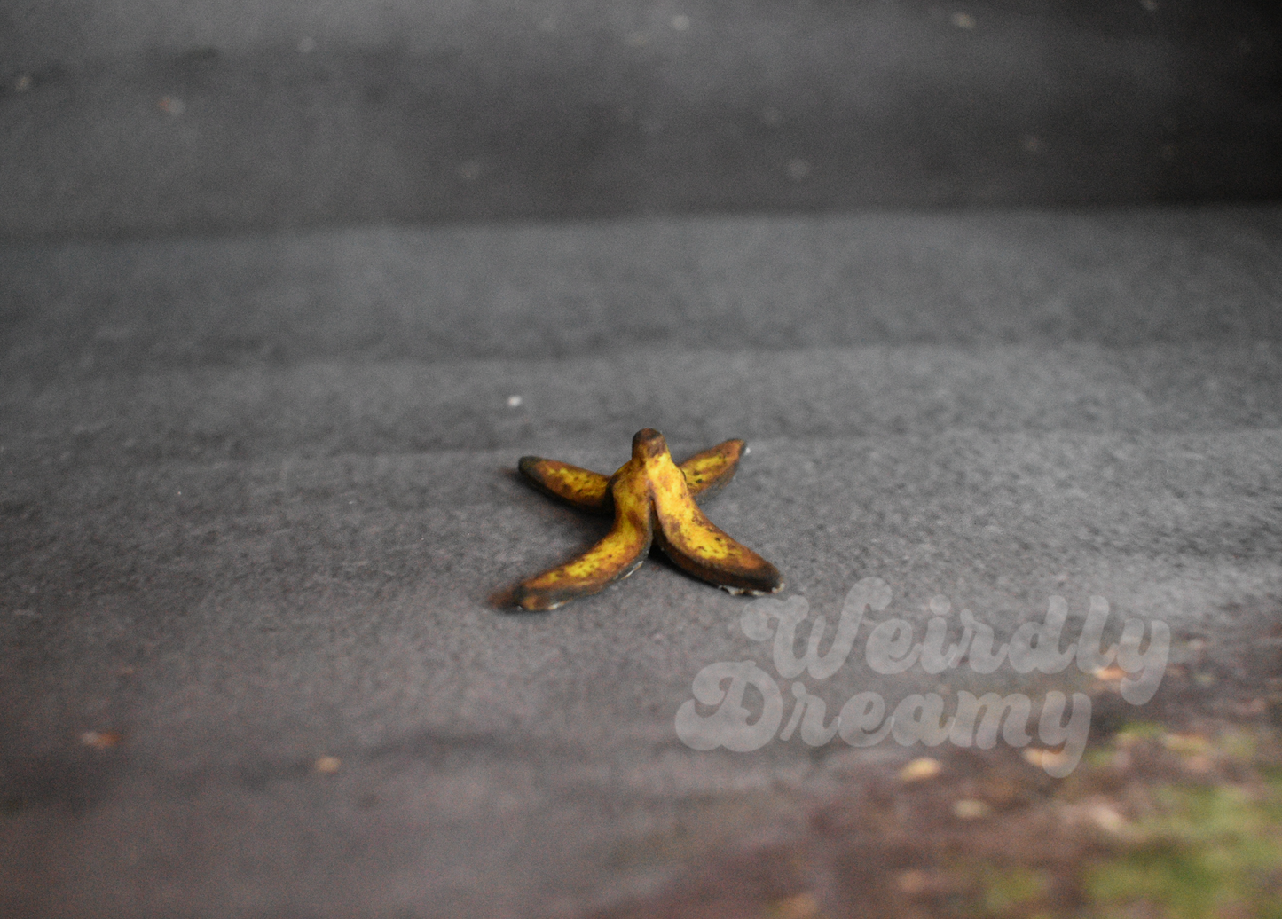 Miniature aged banana peel on a textured surface with 'Weirdly Dreamy' branding.