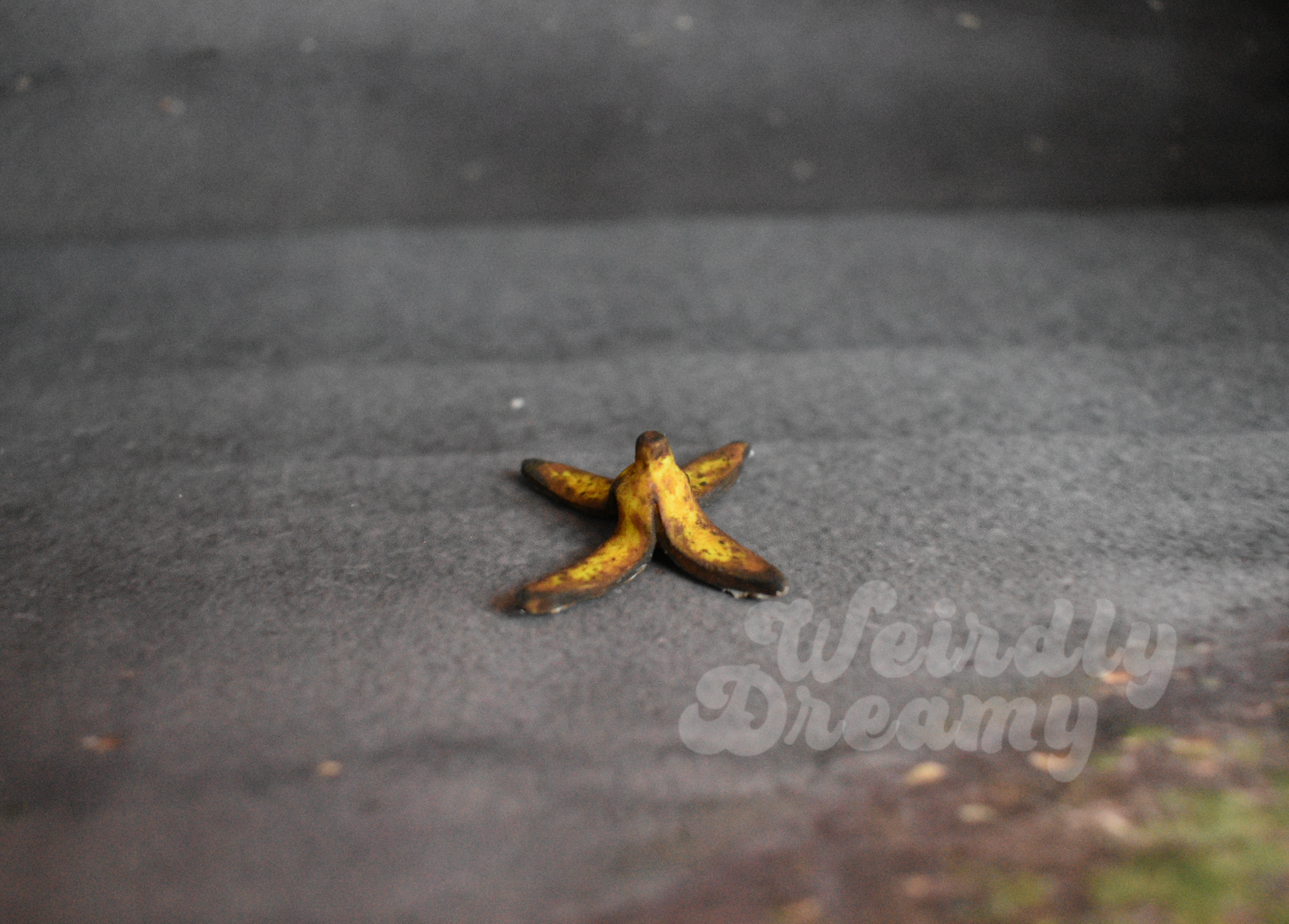 Miniature aged banana peel on a textured surface with 'Weirdly Dreamy' branding.