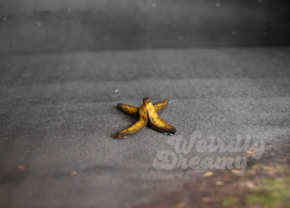 Miniature aged banana peel on a textured surface with 'Weirdly Dreamy' branding.