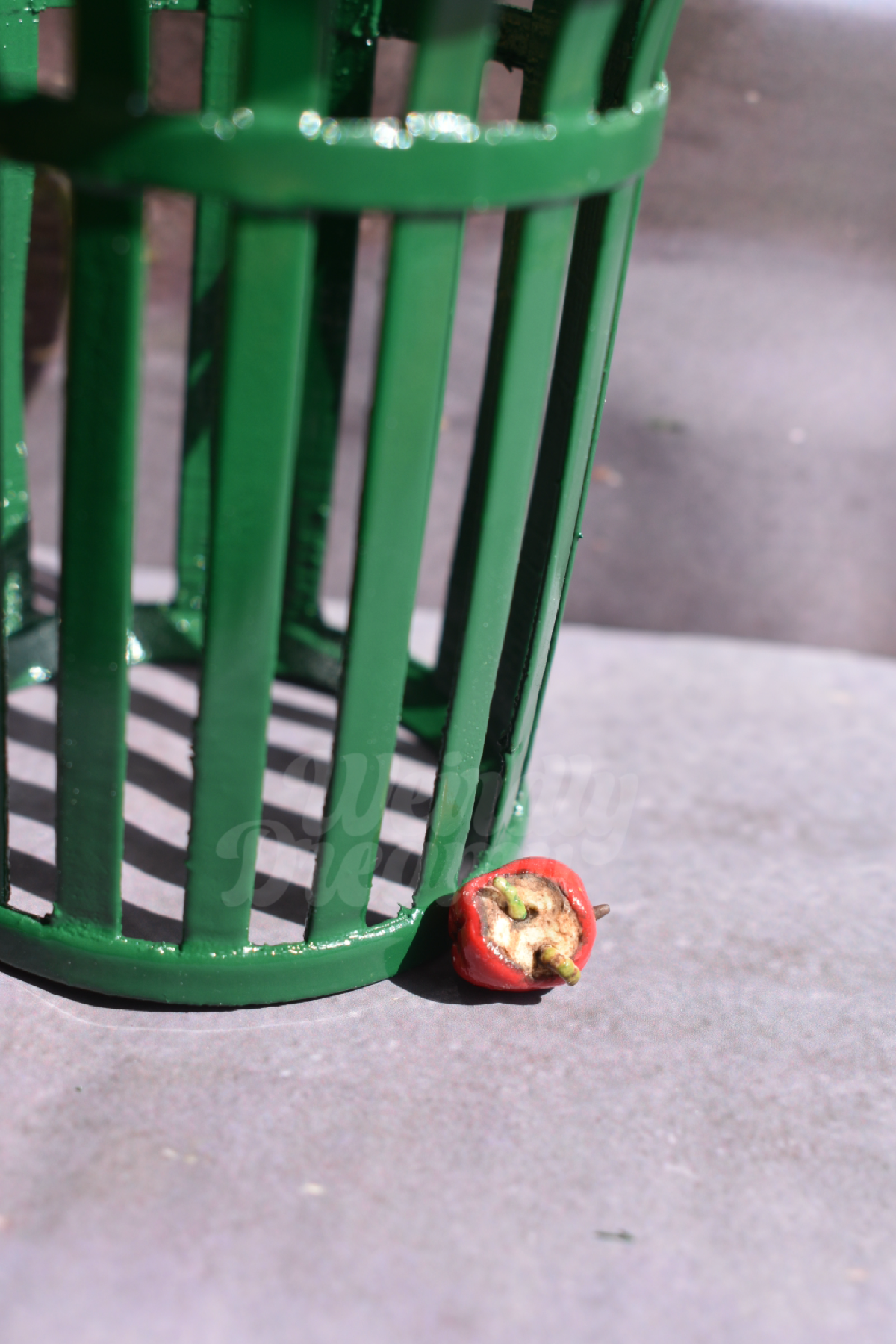 Miniature green trash can with a rotting miniature red apple on a gray pavement. The apple has two green slimy worms working their way out of the center of the oxidized apple flesh.