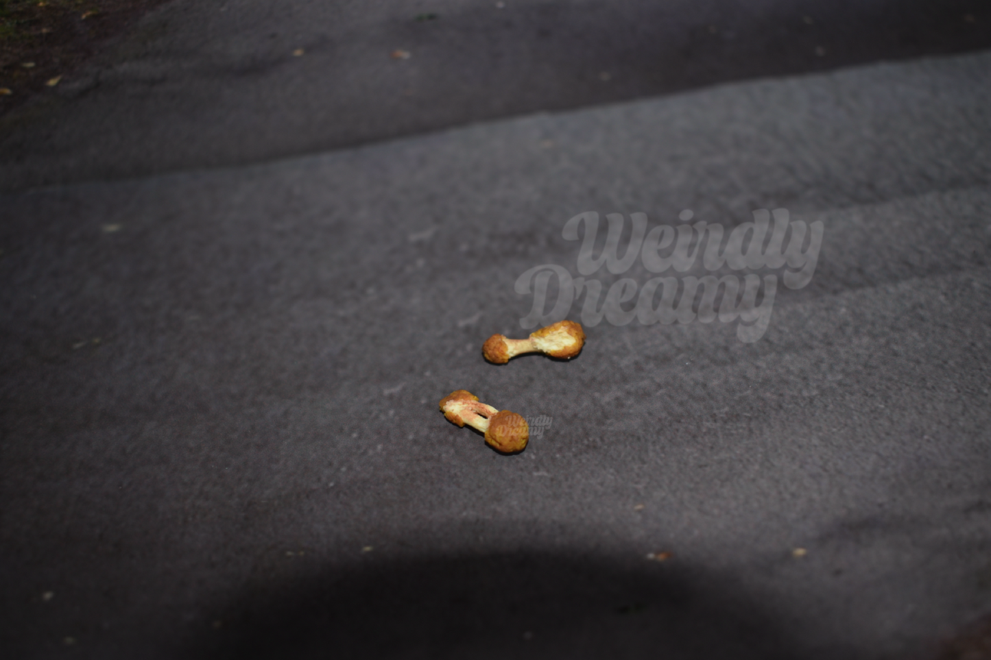 Two small chicken wings on a dark textured surface