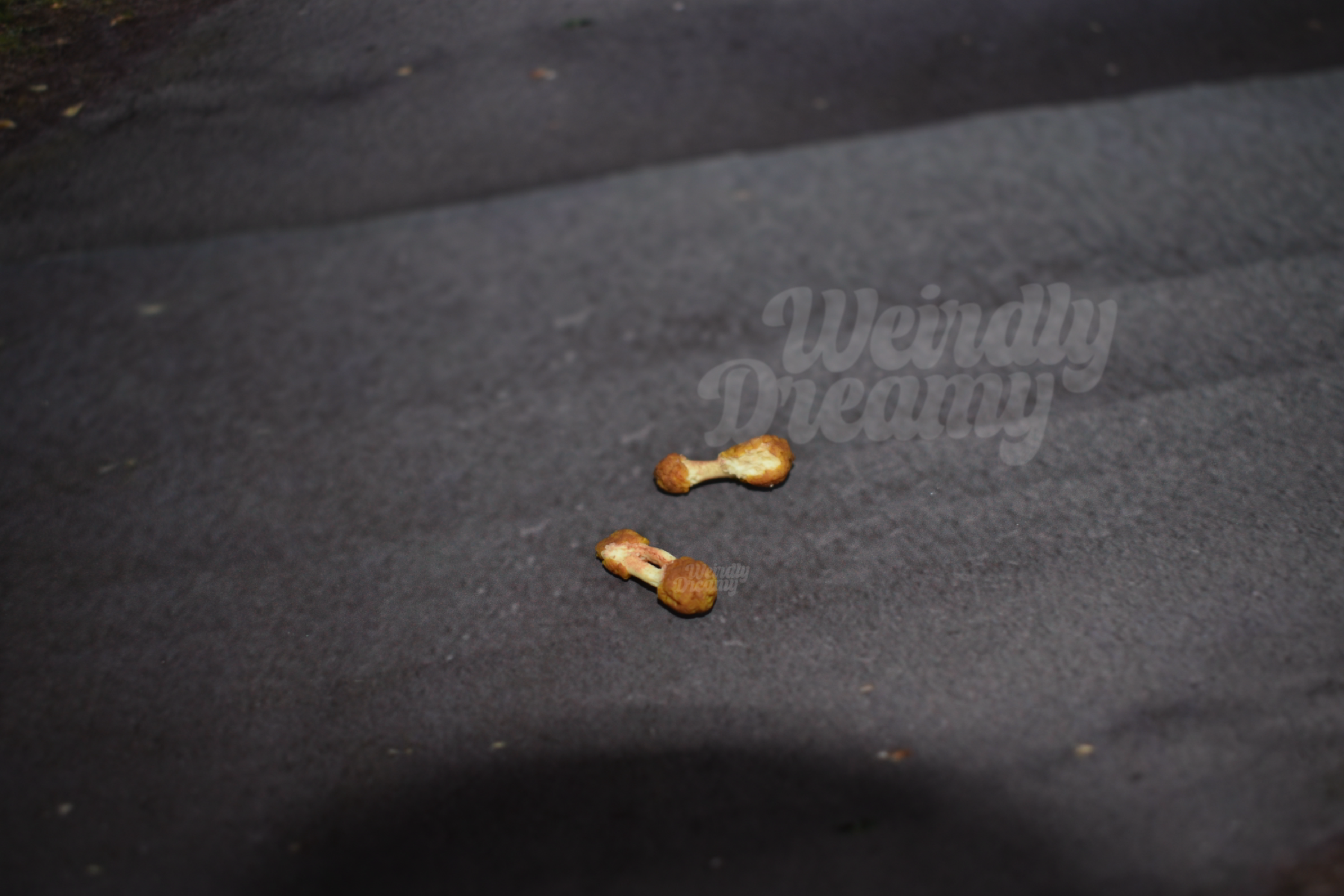 Two small chicken wings on a dark textured surface
