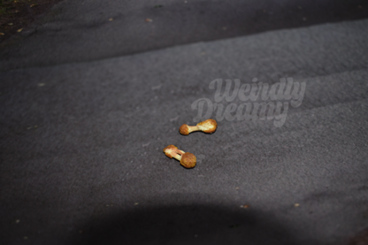 Two small chicken wings on a dark textured surface