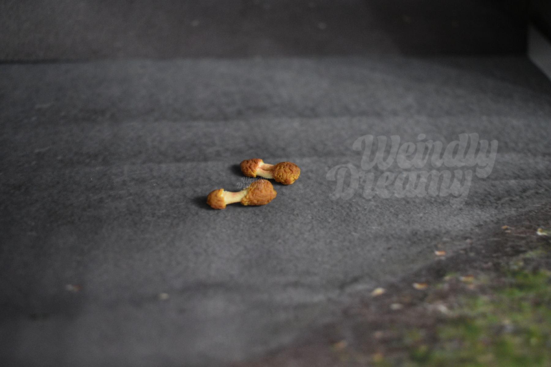 Two small chicken wing bones on a dark asphalt surface