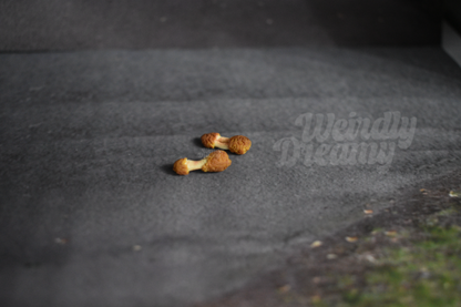 Two small chicken wing bones on a dark asphalt surface